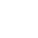 bra icon