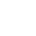 bra icon