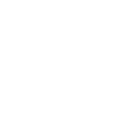 bra icon