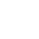 bra icon
